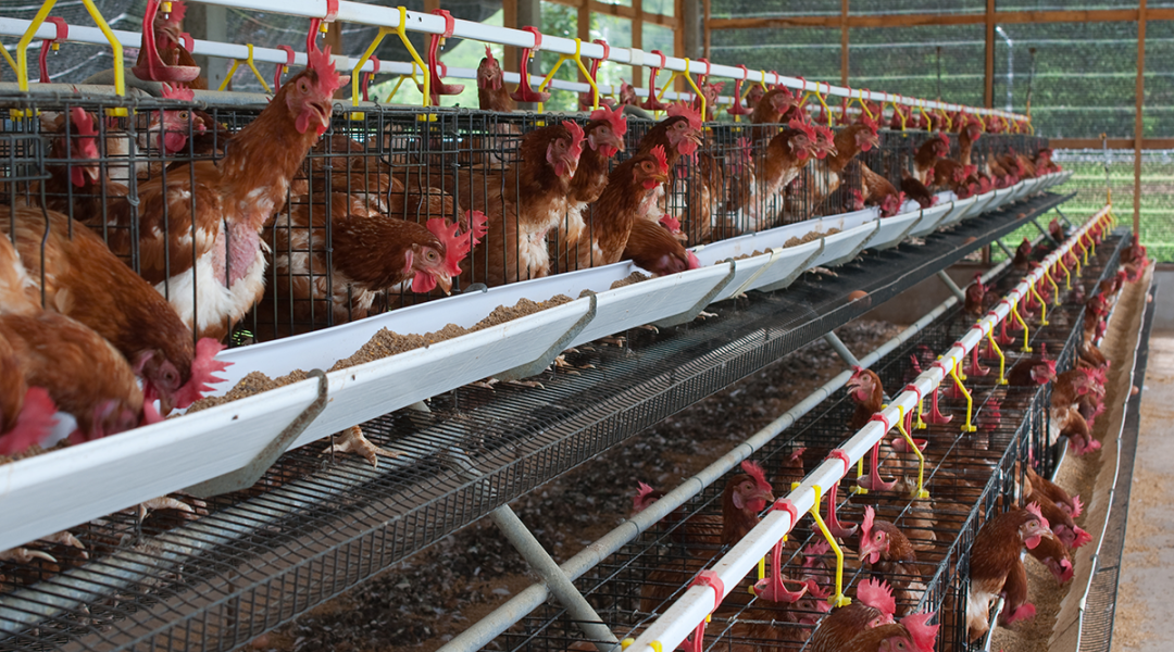 氨氣的危害以及預(yù)防泄漏的方法