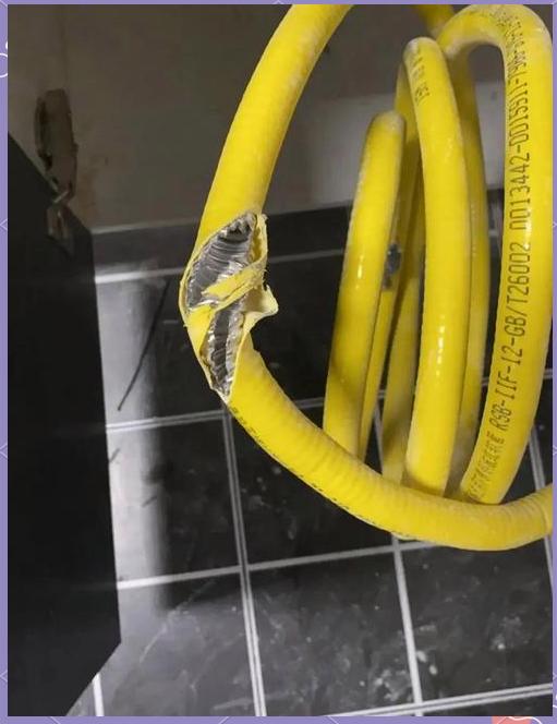 正在使用燃氣的請注意，多數(shù)人忽略的細節(jié)，正在釀大禍