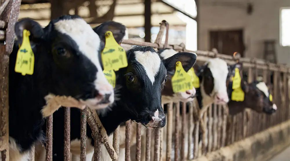 2d914f3ff00a463ea8f3c07e4a3a8dcd.webp.png 2d914f3ff00a463ea8f3c07e4a3a8dcd.webp.png