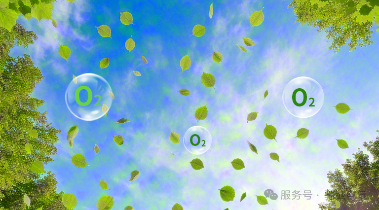 認(rèn)識氣體的危害|氧氣濃度監(jiān)測與預(yù)防