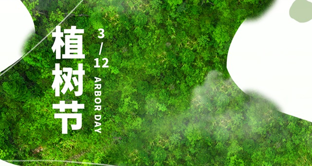 植樹節(jié)，種下一抹綠，收獲新希望