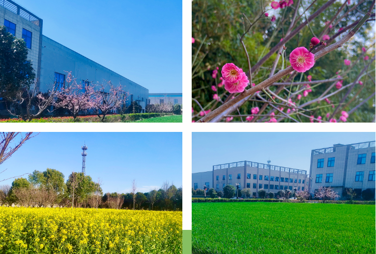 春光不負(fù)趕路人|馳誠電氣奏響“春日奮斗曲”