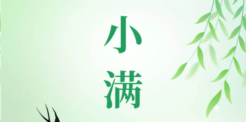 今日小滿|溫風(fēng)拂穗 小得盈滿