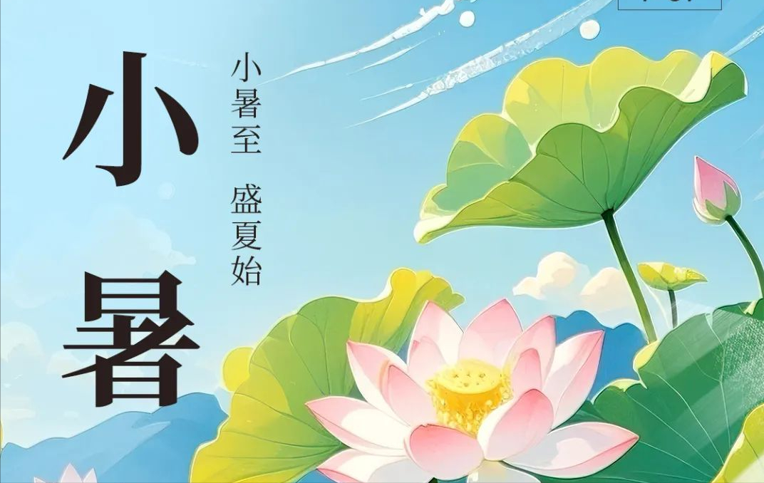 今日小暑|盛夏已至 守護(hù)清涼